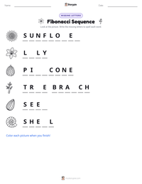 Fibonacci Sequence printable worksheet preview