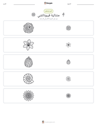 معاينة ورقة العمل القابلة للطباعة متتالية فيبوناتشي