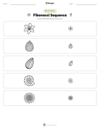 Fibonacci Sequence printable worksheet preview
