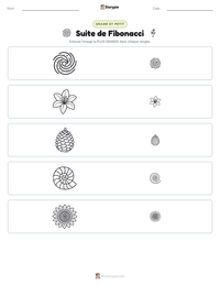 Aperçu de la feuille de travail imprimable Suite de Fibonacci