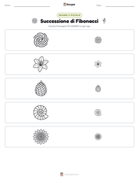 Anteprima della scheda stampabile di Successione di Fibonacci