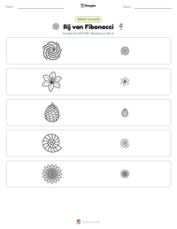 Rij van Fibonacci afdrukbare werkblad voorbeeld