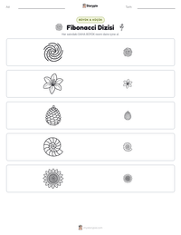 Fibonacci Dizisi yazdırılabilir çalışma sayfası önizlemesi