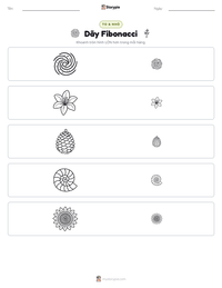 Xem trước tài liệu in sẵn Dãy Fibonacci