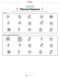 Fibonacci Sequence printable worksheet preview