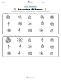 Anteprima della scheda stampabile di Successione di Fibonacci