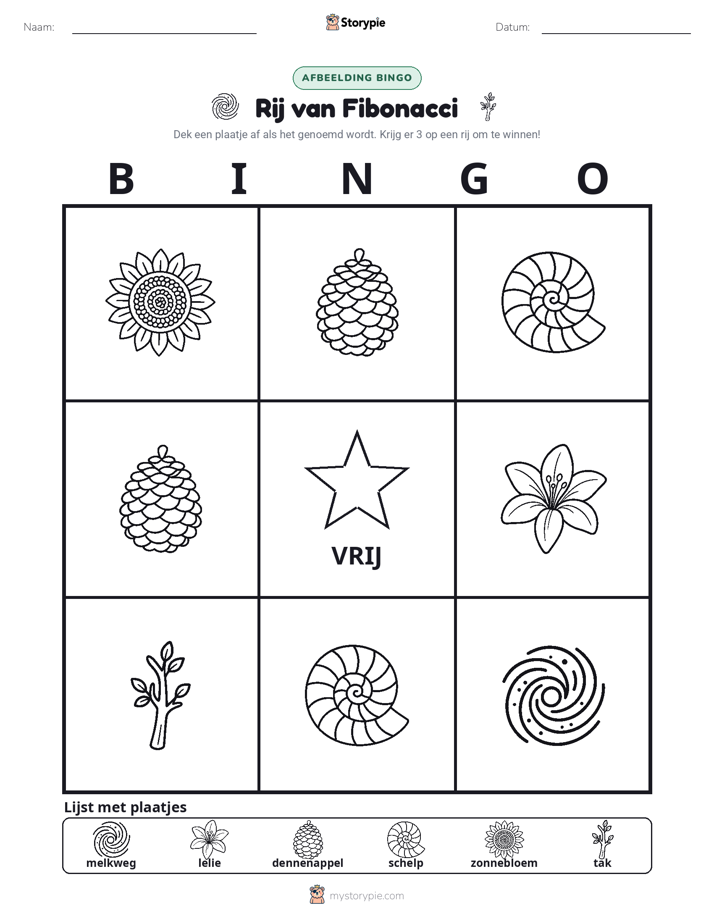 Afbeelding Bingo