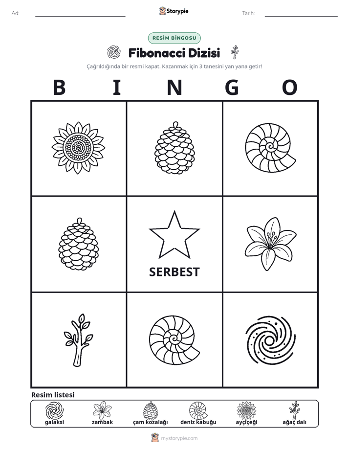 Resim Bingo