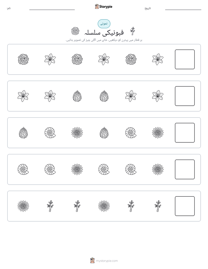پیٹرن