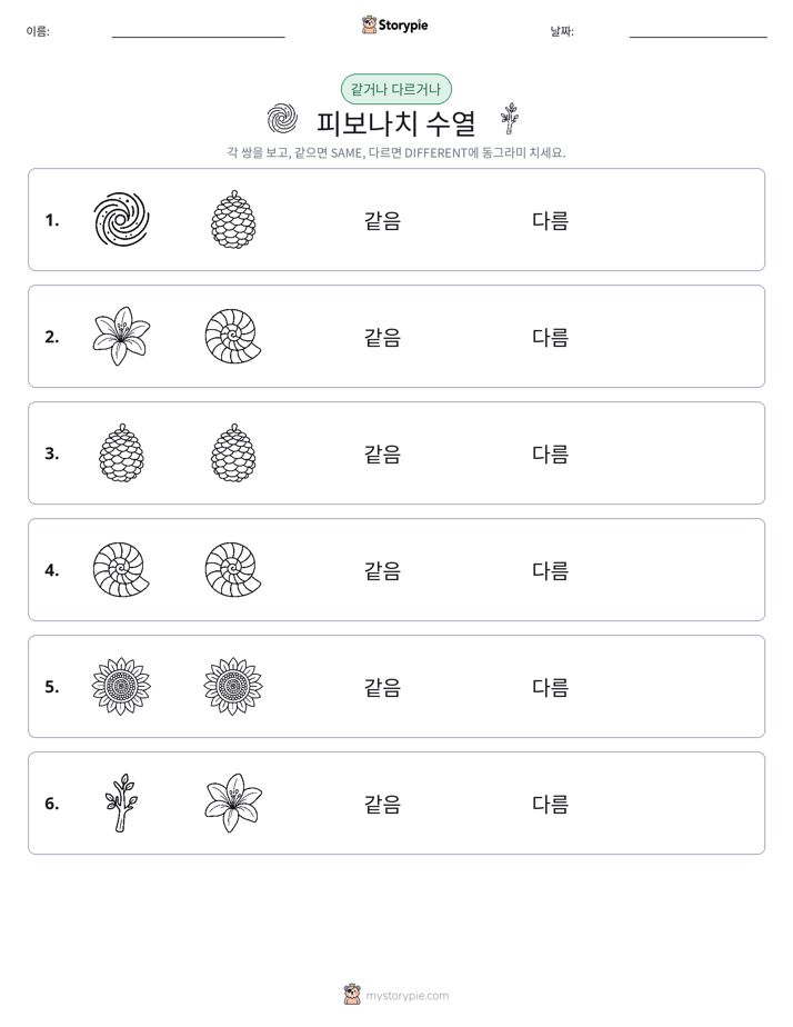 같은 것 또는 다른 것