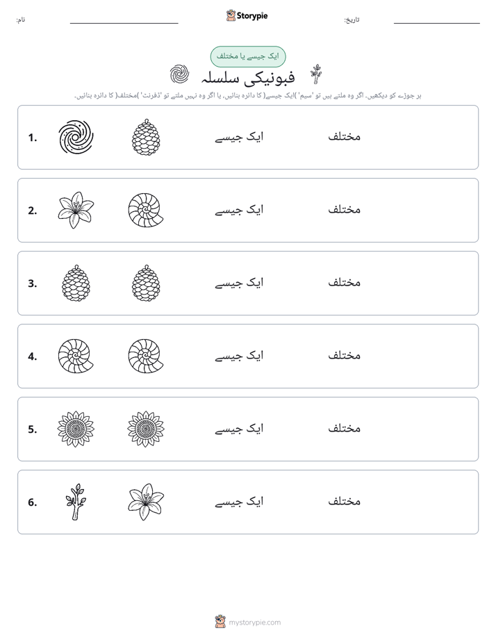 ایک جیسا یا مختلف