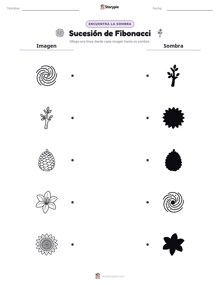 Coincidencia de Sombras