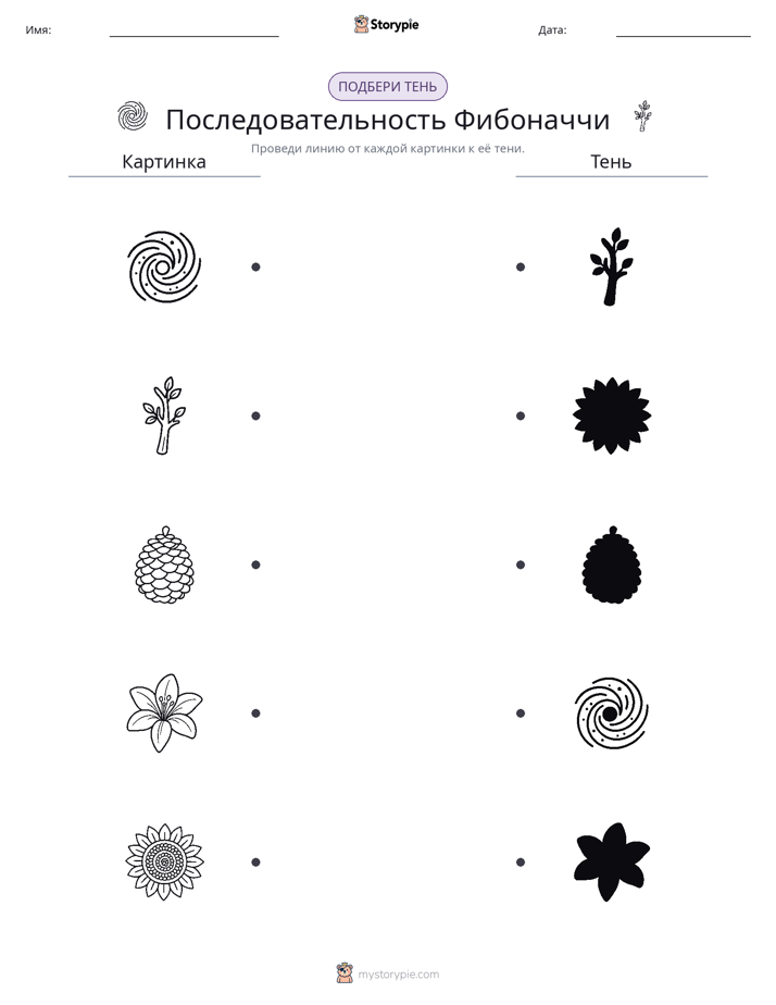Сопоставление теней