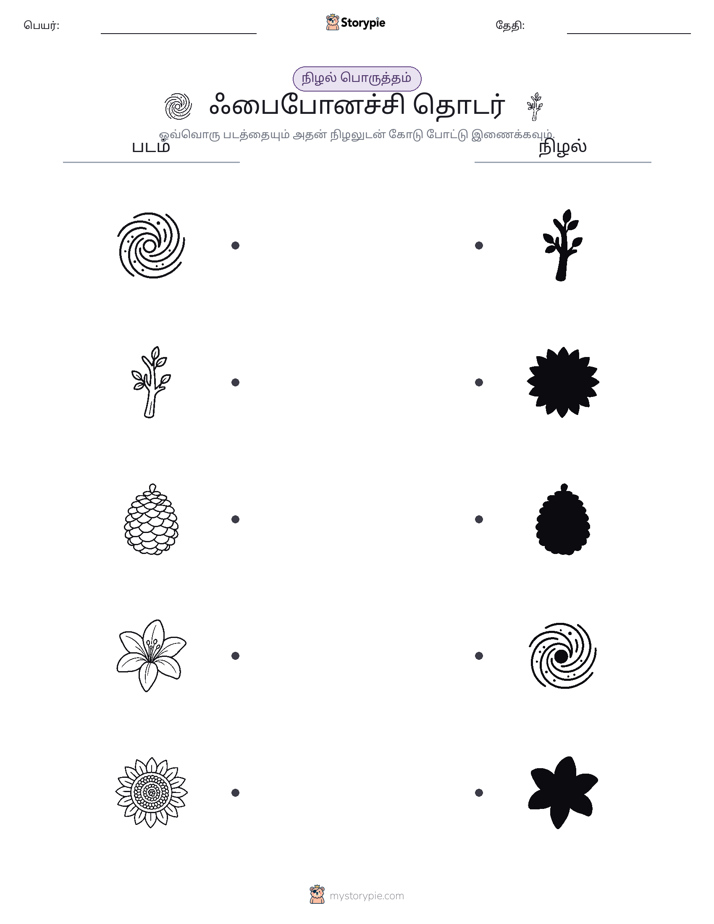 நிழல் பொருத்தம்