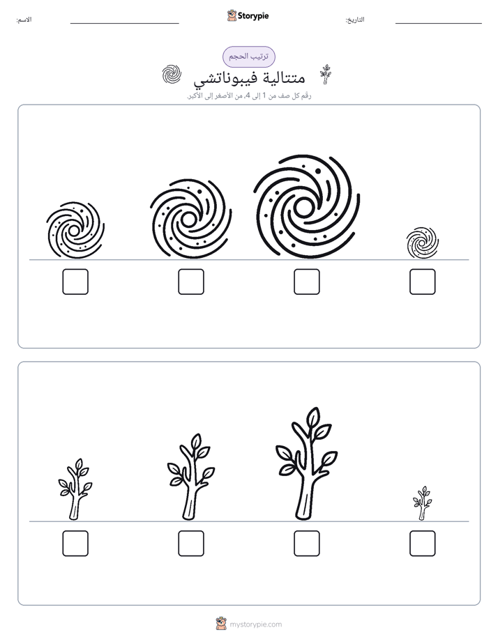 ترتيب الحجم