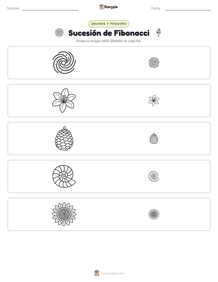 Clasificación