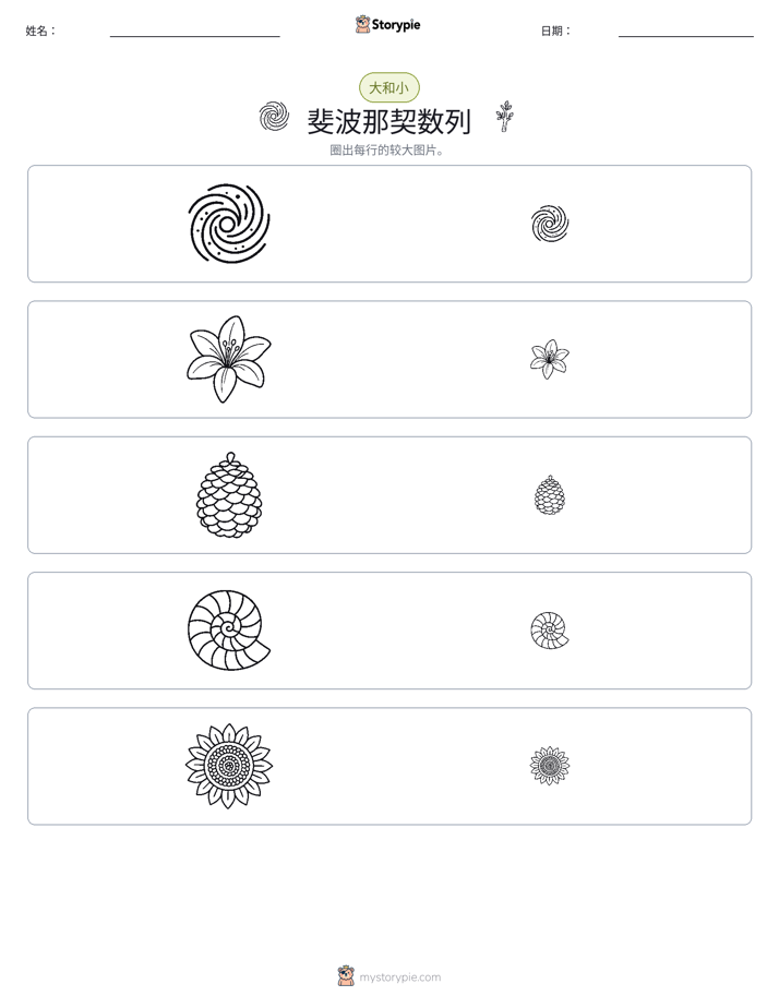 分类