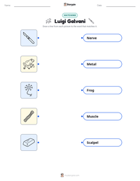 Luigi Galvani printable worksheet preview