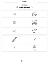 Luigi Galvani printable worksheet preview
