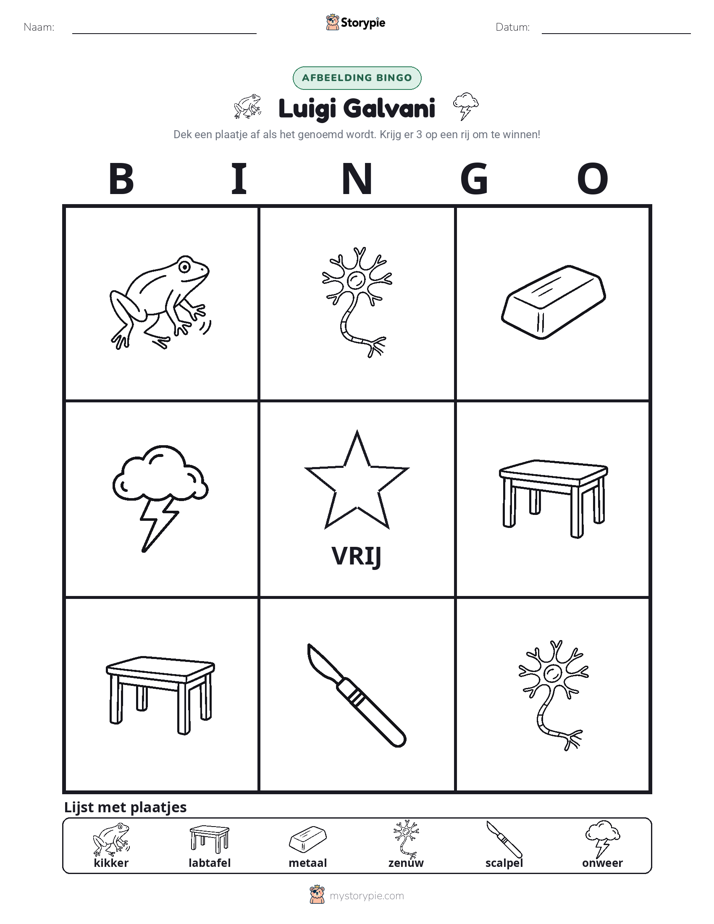 Afbeelding Bingo