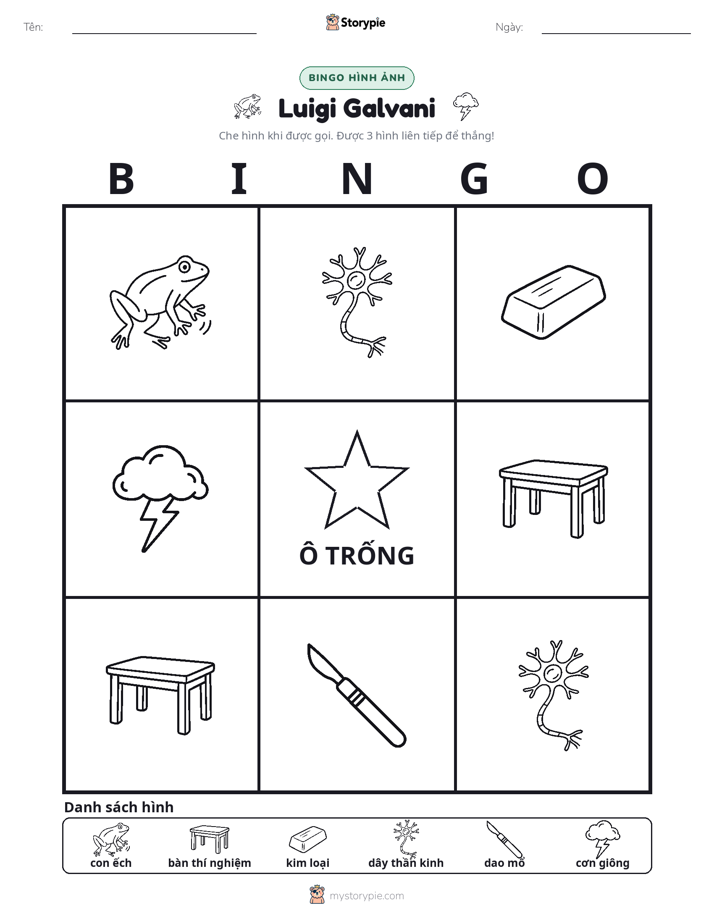 Bingo Hình Ảnh
