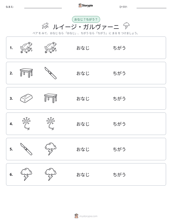 同じか違うか