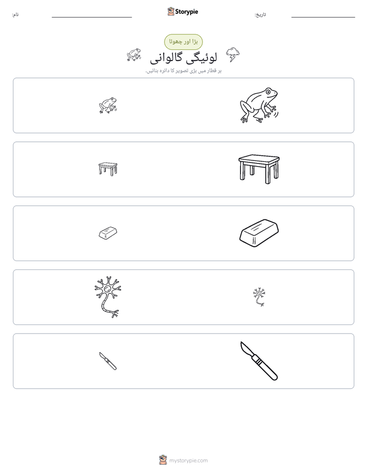 ترتیب دینا