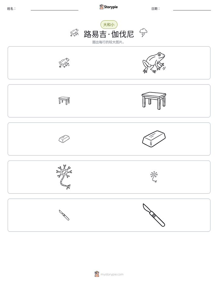 分类