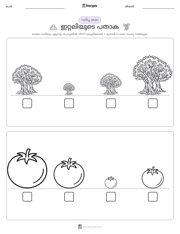 വലുപ്പം ക്രമം