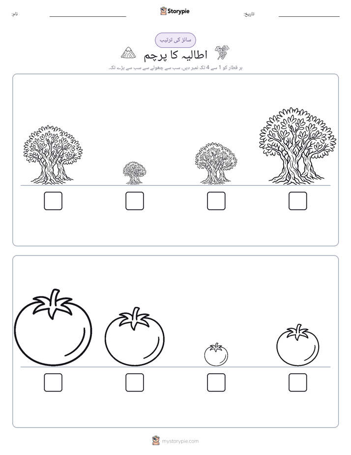 سائز کی ترتیب