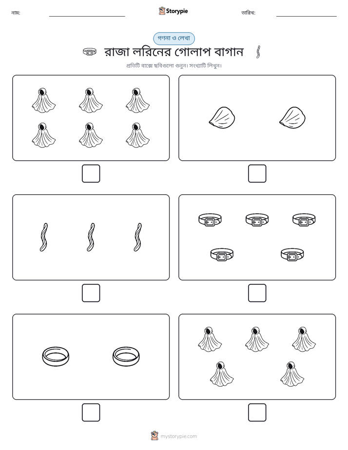 গণনা & লিখুন