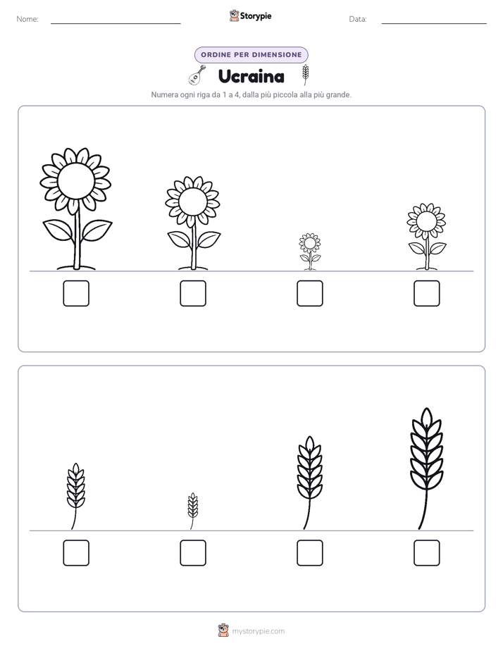 Ordine di Dimensione