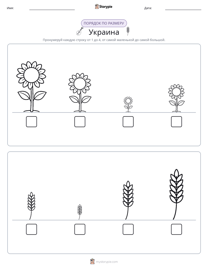 Размеры в порядке