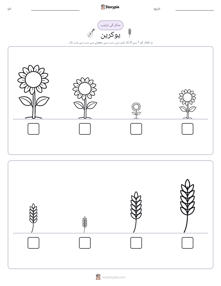 سائز کی ترتیب