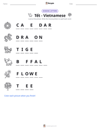 Tết - Vietnamese printable worksheet preview