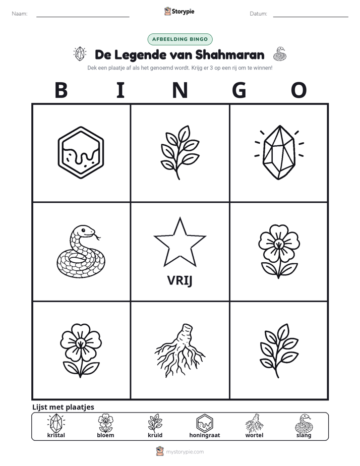 Afbeelding Bingo