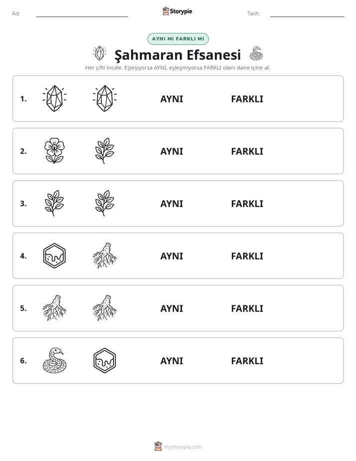 Aynı mı Farklı mı