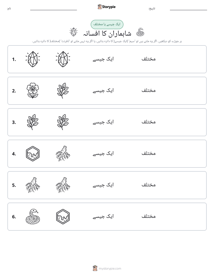 ایک جیسا یا مختلف