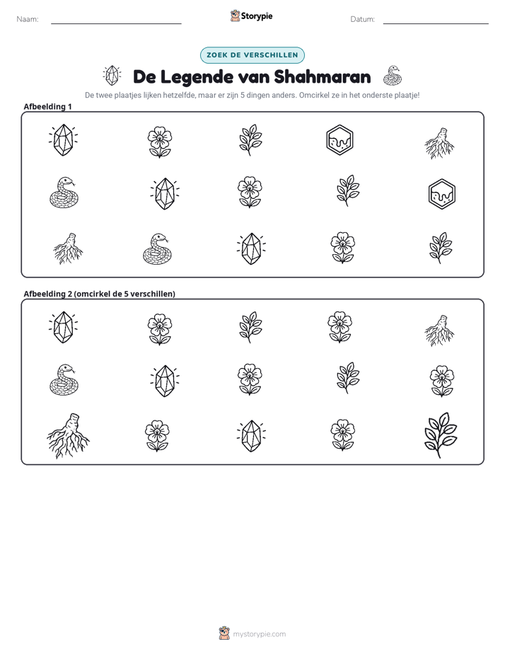 Vind het Verschil