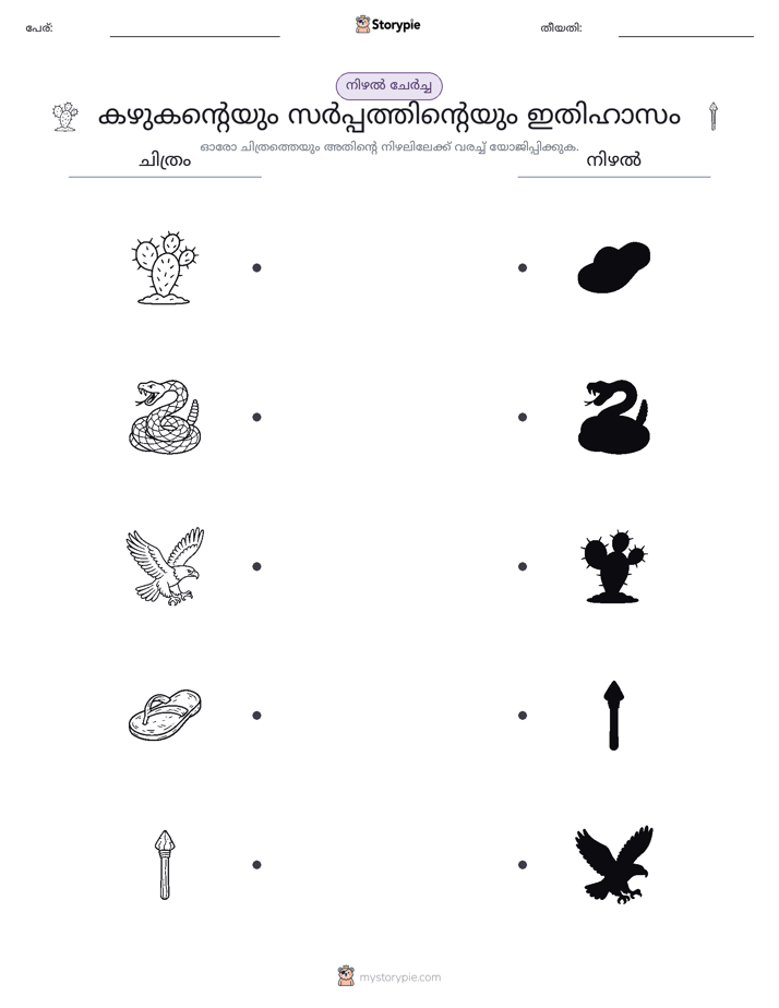 ഷാഡോ മാച്ച്