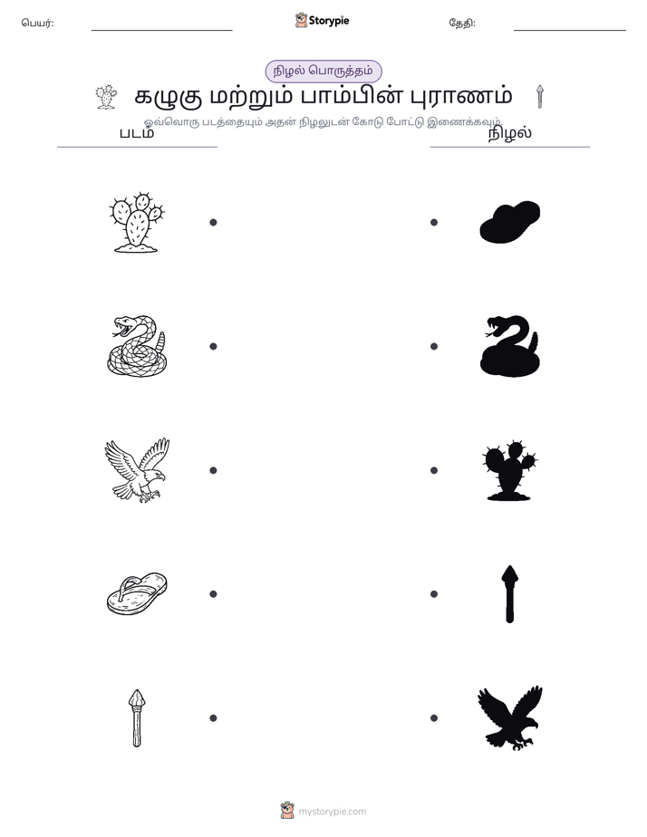 நிழல் பொருத்தம்