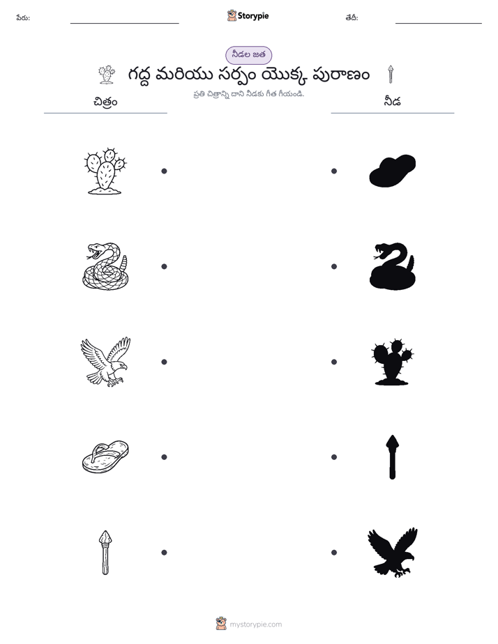 షాడో మ్యాచ్