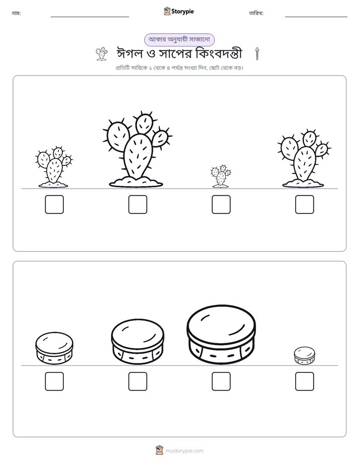 আকারের ক্রম