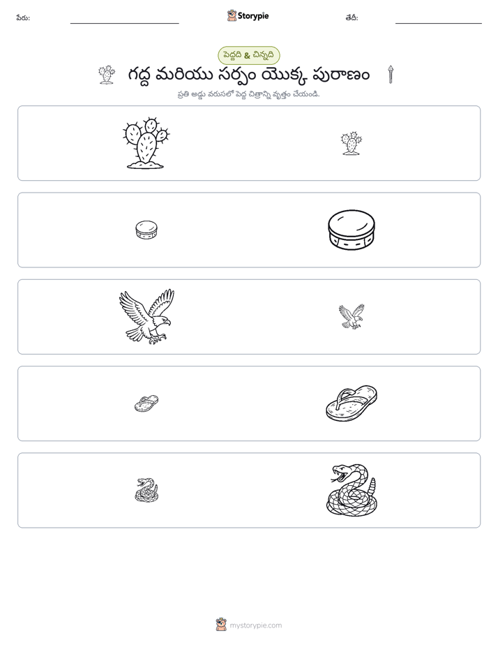వర్గీకరణ