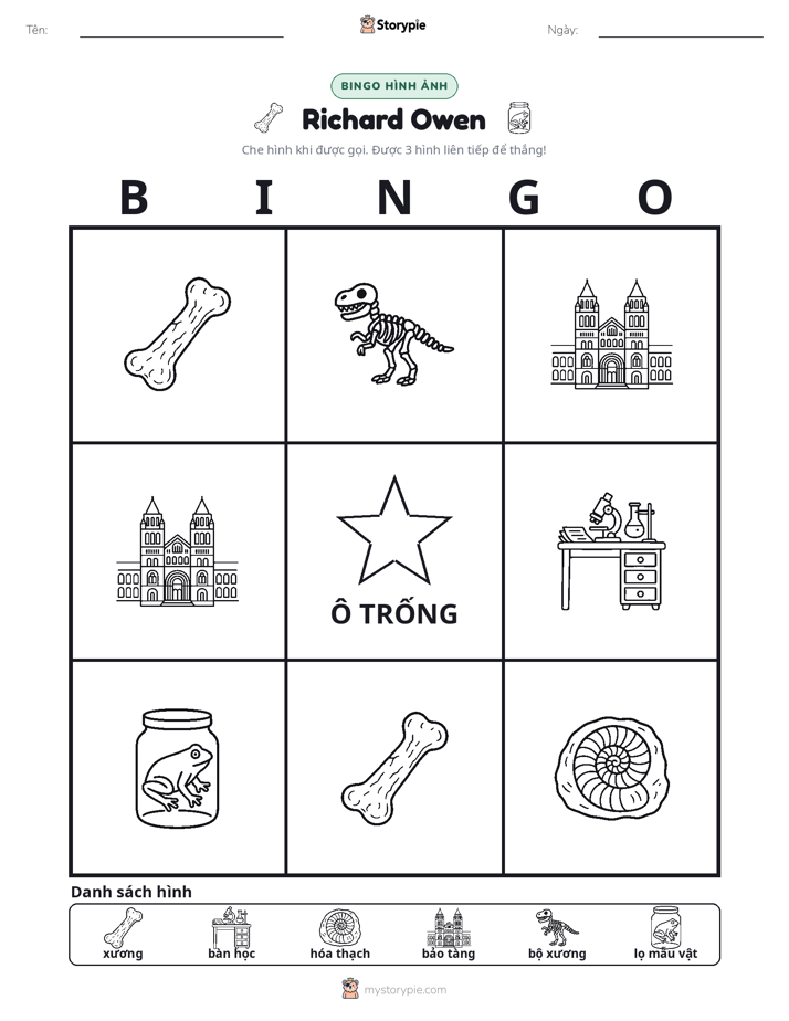 Bingo Hình Ảnh
