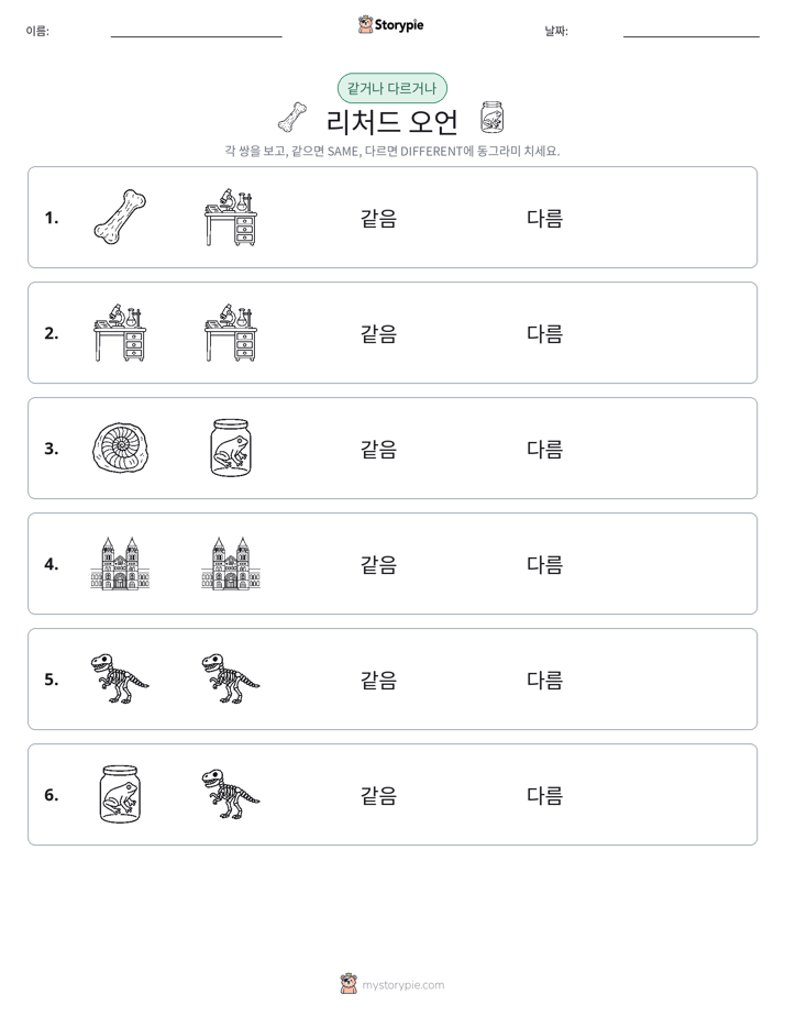 같은 것 또는 다른 것