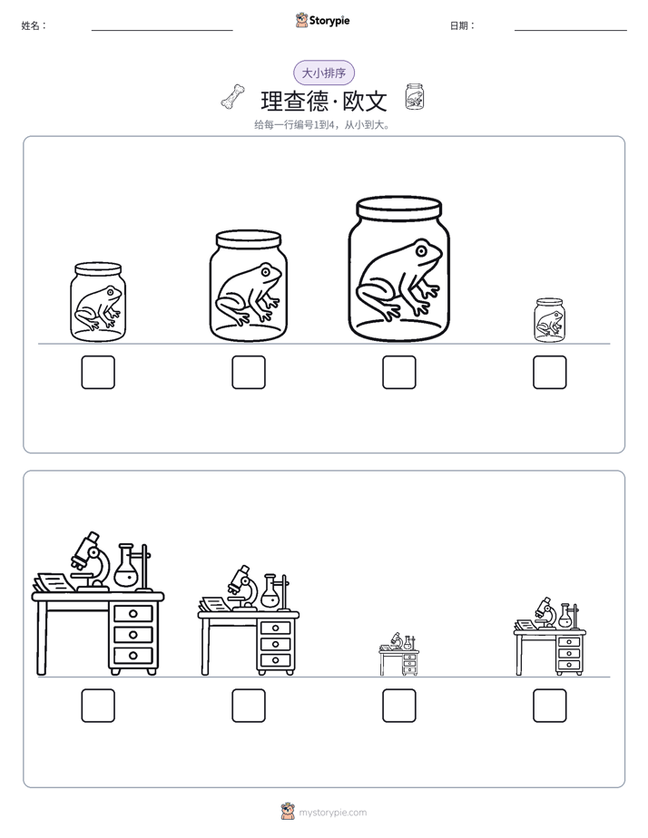 大小排序