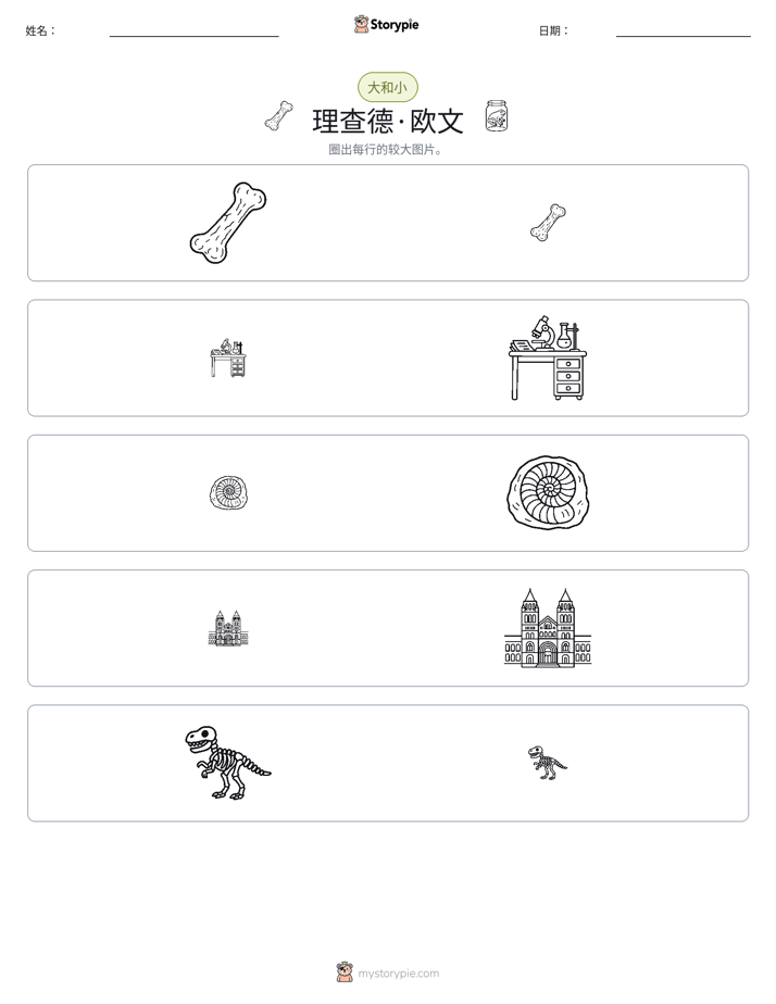 分类