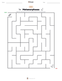 Metamorphoses printable worksheet preview