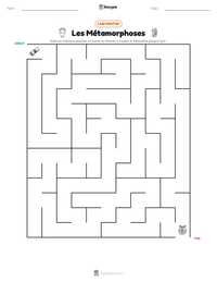 Aperçu de la feuille de travail imprimable Les Métamorphoses